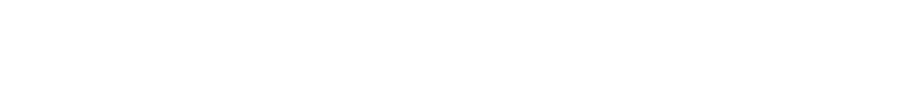 w+g Logo